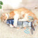 The Flippy Fin: Realistic Wagging Fish Cat Toy for Interactive Play
