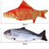The Flippy Fin: Realistic Wagging Fish Cat Toy for Interactive Play